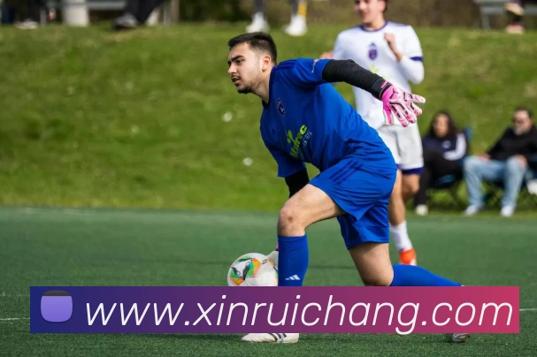 九游体育平台生态图